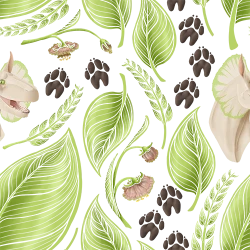 Thumbnail for Okmodai Branding